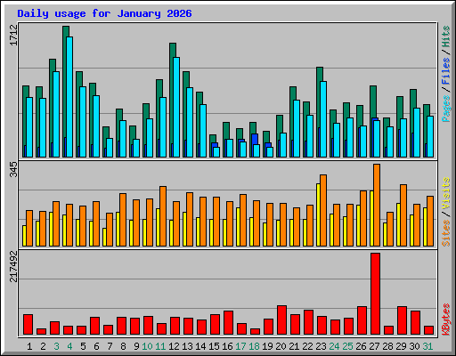 Daily usage for January 2026