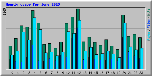 Hourly usage for June 2025