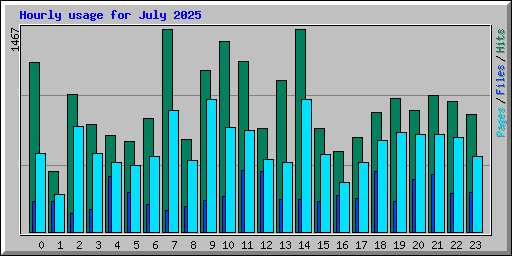 Hourly usage for July 2025