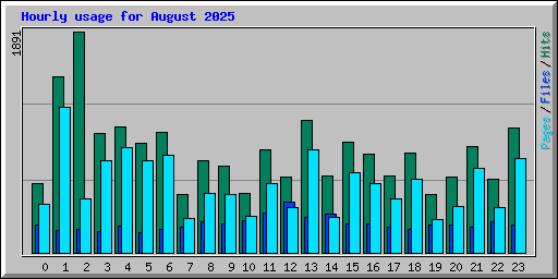 Hourly usage for August 2025