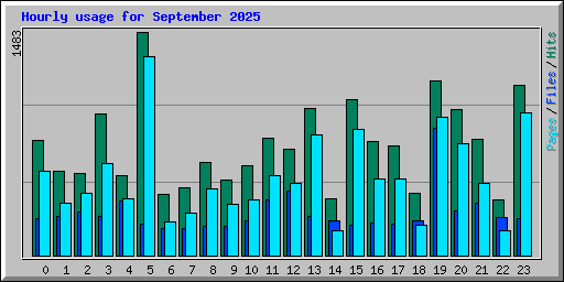 Hourly usage for September 2025