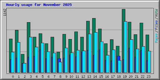 Hourly usage for November 2025
