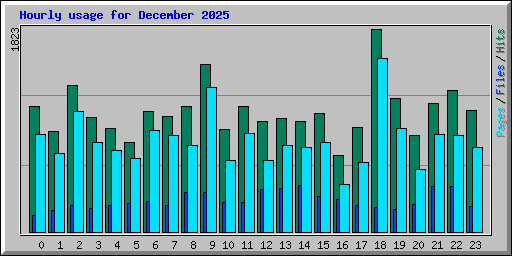 Hourly usage for December 2025