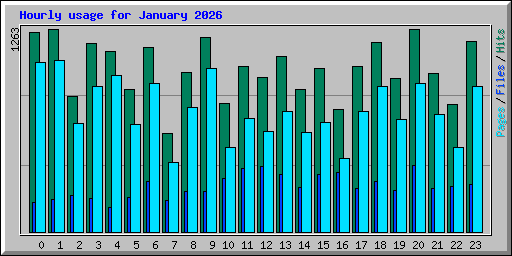 Hourly usage for January 2026